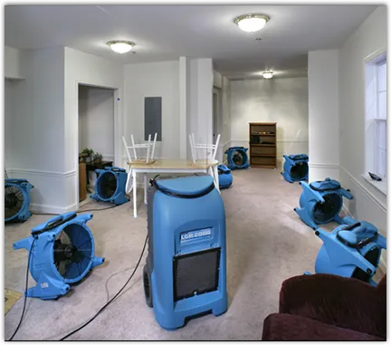 Water Mitigation Services in Roxbury, NJ
