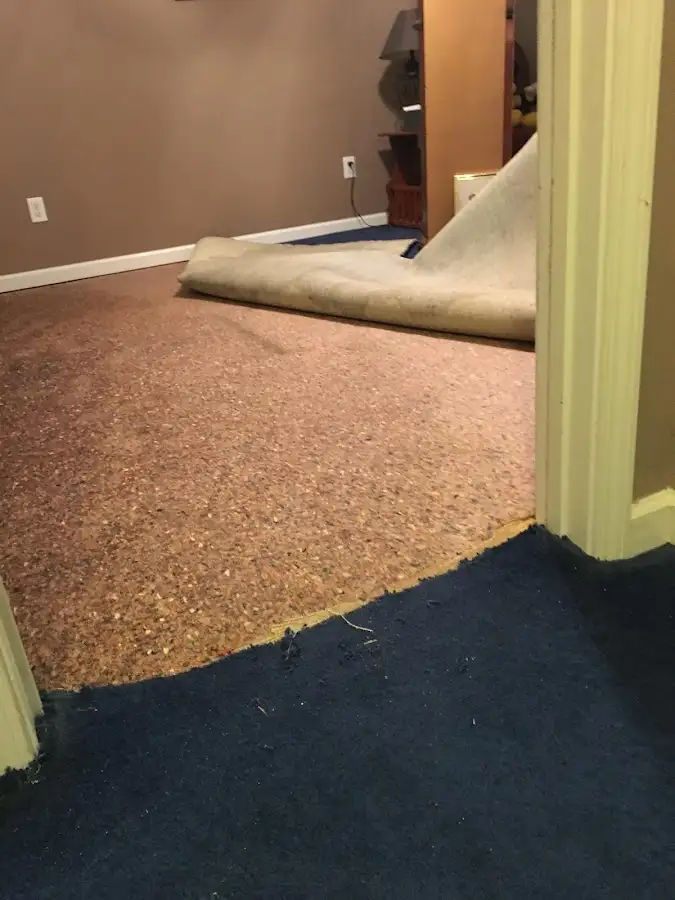 Carpet pad removal revealing water damage during Water Mitigation Services in Roxbury