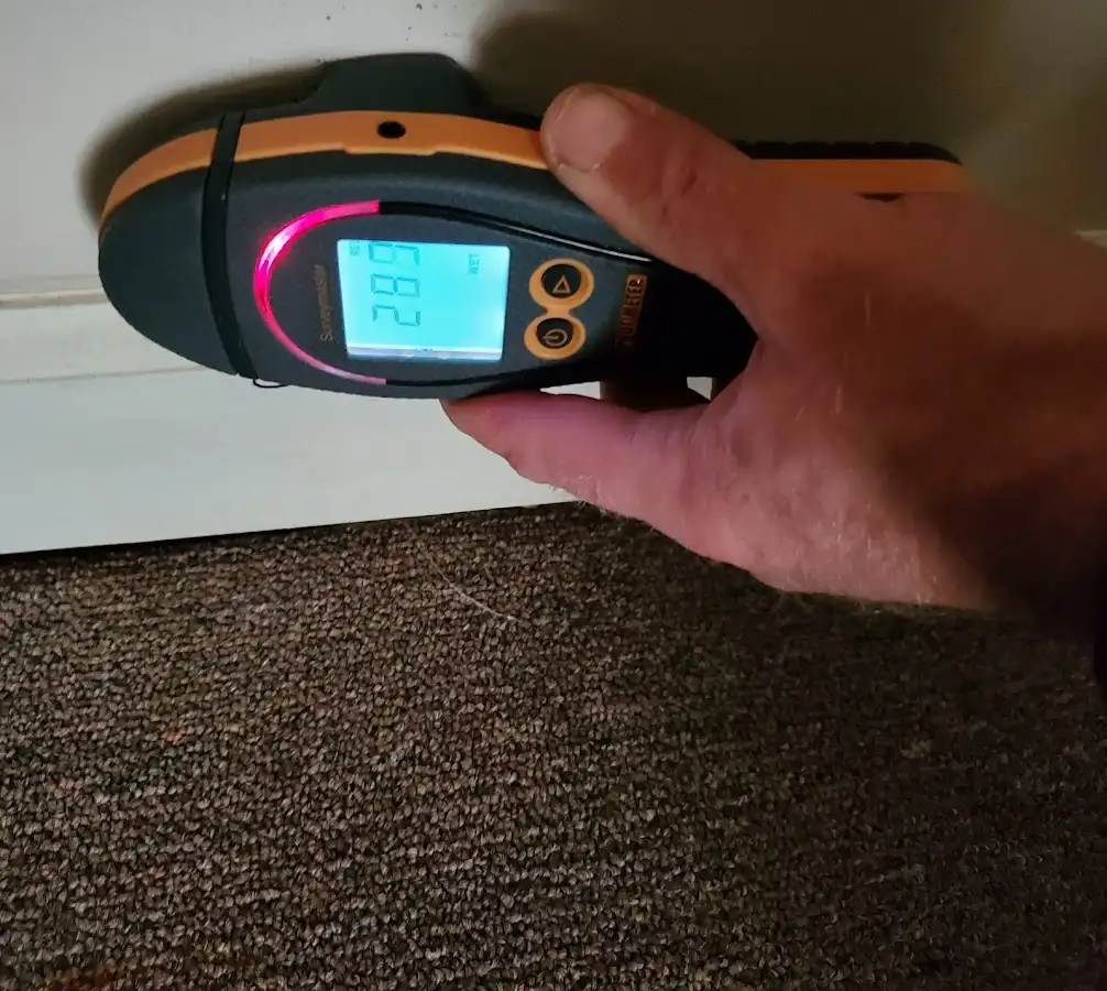 Moisture detection at baseboard during Mold Inspection & Testing in Roxbury